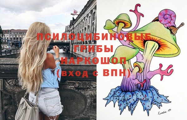 гидра Нязепетровск