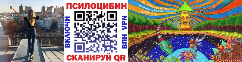 купить закладку Ахтубинск Псилоцибиновые грибы мицелий